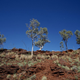 Illustration for article titled AWOL Around Australia... Part 34. The Pilbara. Part 1